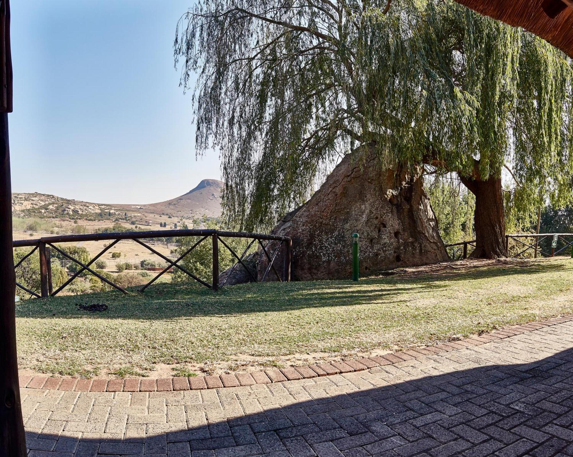Villa Lionsrock Big Cat Sanctuary Bethlehem Esterno foto