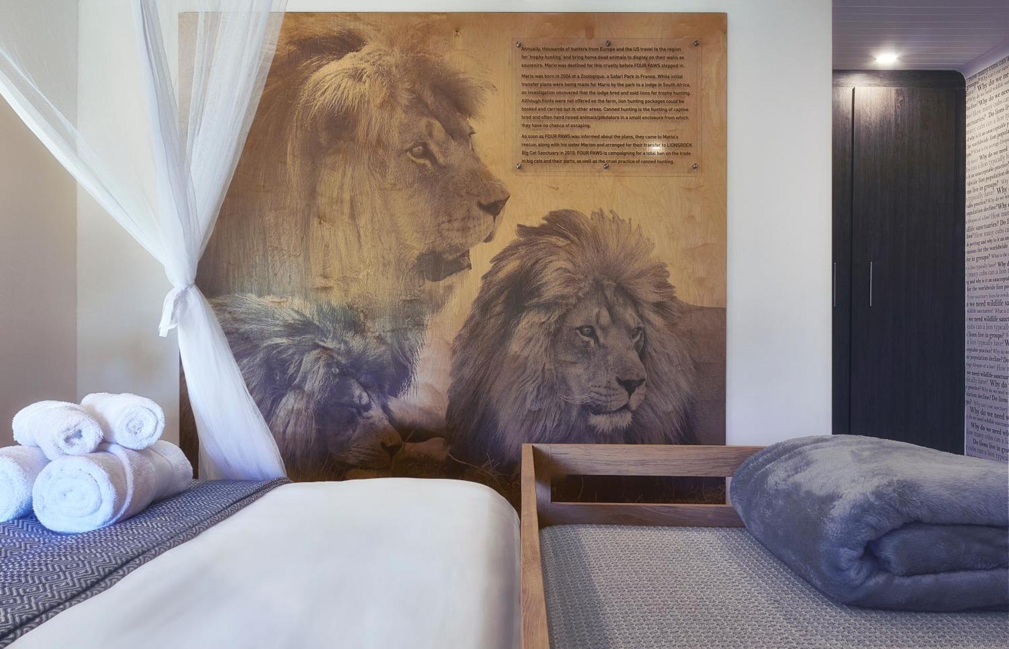 Villa Lionsrock Big Cat Sanctuary Bethlehem Esterno foto